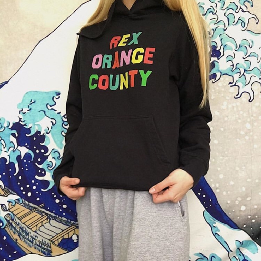 rex orange county hoodie